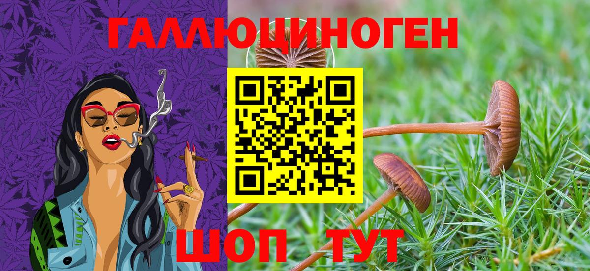 Псилоцибиновые грибы мухоморы Владимир