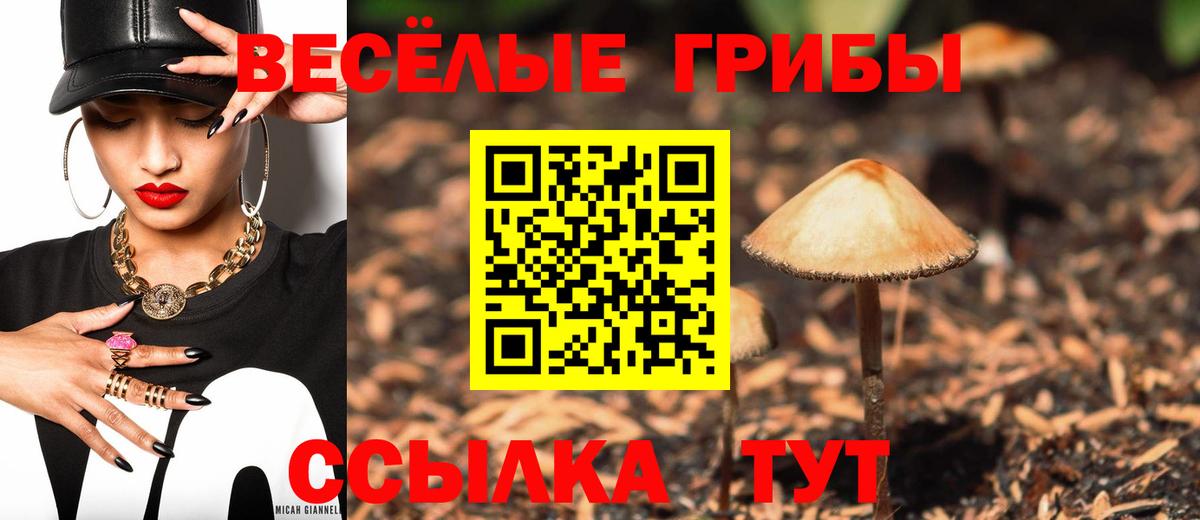 закладка  Галлюциногенные грибы ЛСД  Вход с VPN  Галлюциногенные грибы Magic Shrooms  Владимир 